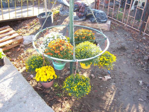 Name:  100_3386.jpg
Views: 364
Size:  73.3 KB