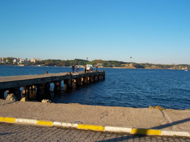 Name:  100_3397.jpg
Views: 400
Size:  41.4 KB