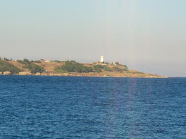 Name:  100_3399.jpg
Views: 365
Size:  30.6 KB