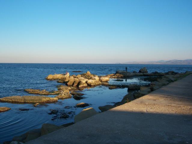 Name:  100_3401.jpg
Views: 368
Size:  30.7 KB