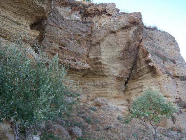 Name:  100_3404.jpg
Views: 419
Size:  61.0 KB