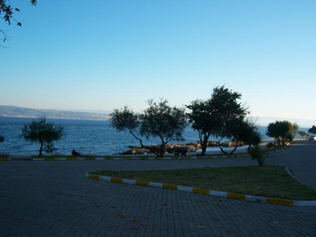 Name:  100_3406.jpg
Views: 370
Size:  28.4 KB