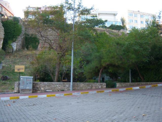 Name:  100_3407.jpg
Views: 376
Size:  51.8 KB