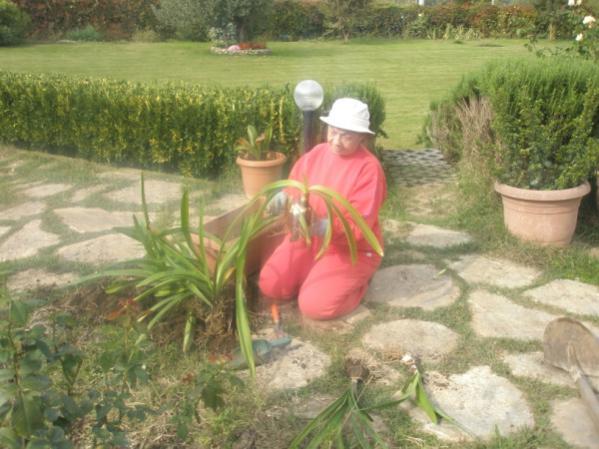 Name:  PA240717 (600 x 450).jpg
Views: 752
Size:  47.6 KB