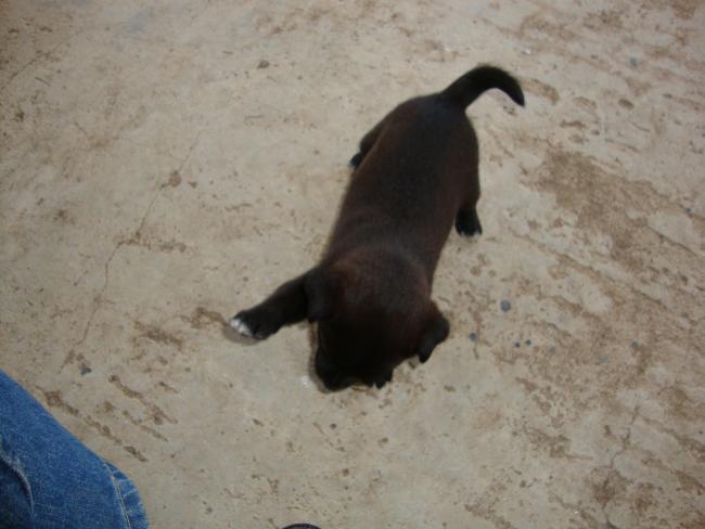 Name:  zeytin 001.jpg
Views: 666
Size:  36.9 KB