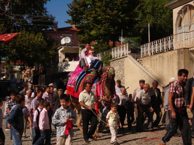 Name:  DSCN6505.jpg
Views: 541
Size:  65.6 KB