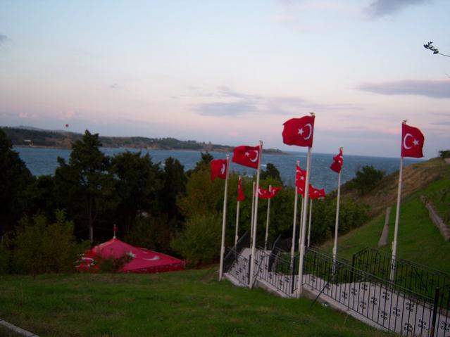 Name:  100_3460.jpg
Views: 385
Size:  32.4 KB