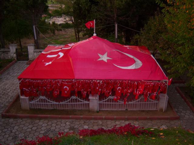 Name:  100_3463.jpg
Views: 414
Size:  45.5 KB