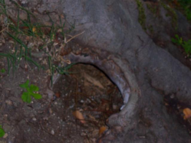Name:  100_3465.jpg
Views: 320
Size:  29.8 KB
