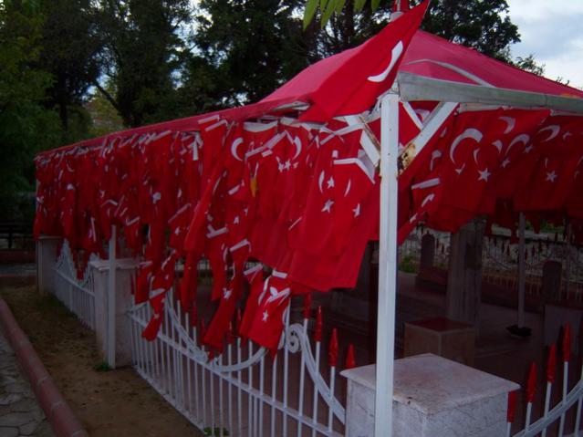 Name:  100_3466.jpg
Views: 308
Size:  46.0 KB