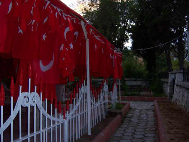 Name:  100_3469.jpg
Views: 321
Size:  43.0 KB