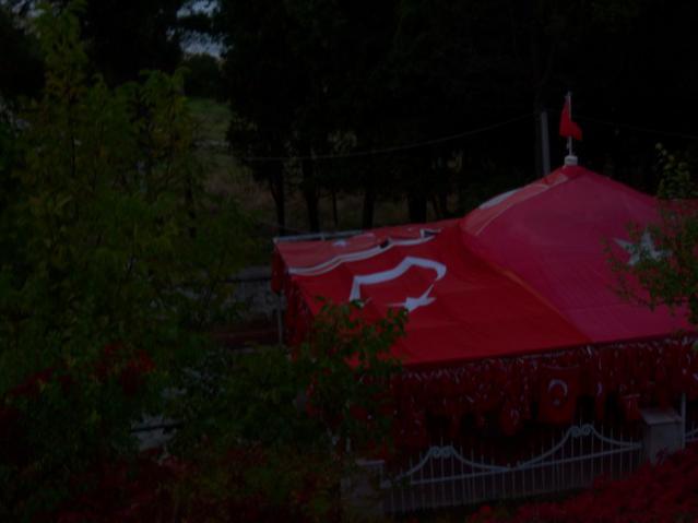 Name:  100_3475.jpg
Views: 314
Size:  23.6 KB