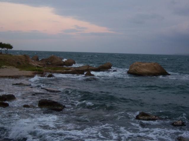 Name:  100_3484.jpg
Views: 302
Size:  34.9 KB