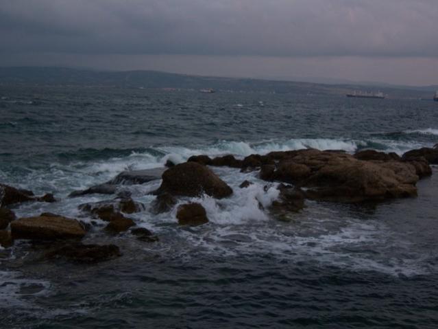 Name:  100_3485.jpg
Views: 291
Size:  34.6 KB