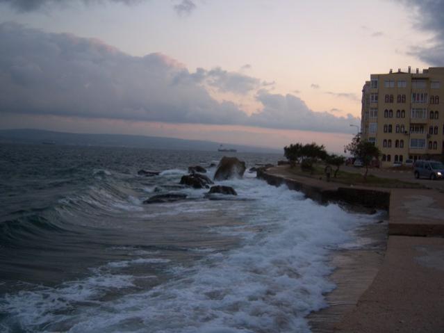 Name:  100_3490.jpg
Views: 387
Size:  29.8 KB