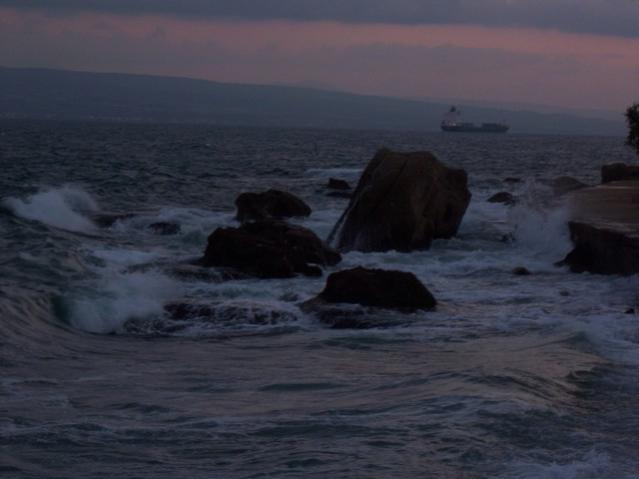 Name:  100_3491.jpg
Views: 401
Size:  28.7 KB