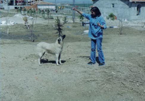 Name:  3c.jpg
Views: 5347
Size:  27.3 KB