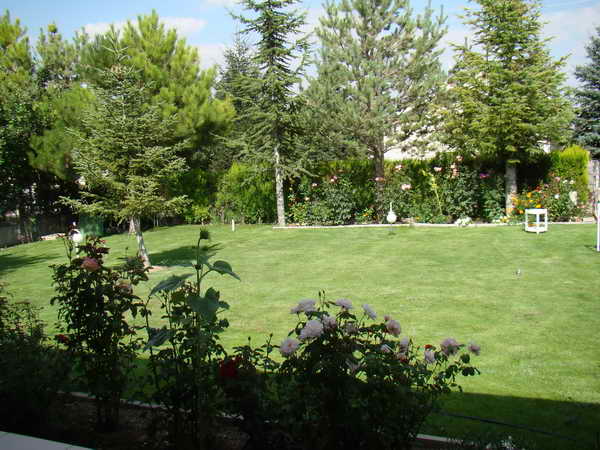 Name:  1_resize.jpg
Views: 5155
Size:  69.6 KB