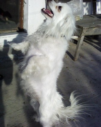 Name:  Photo-0020.jpg
Views: 1843
Size:  30.4 KB