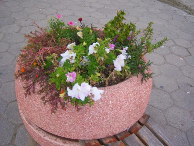 Name:  100_3503.jpg
Views: 369
Size:  55.4 KB