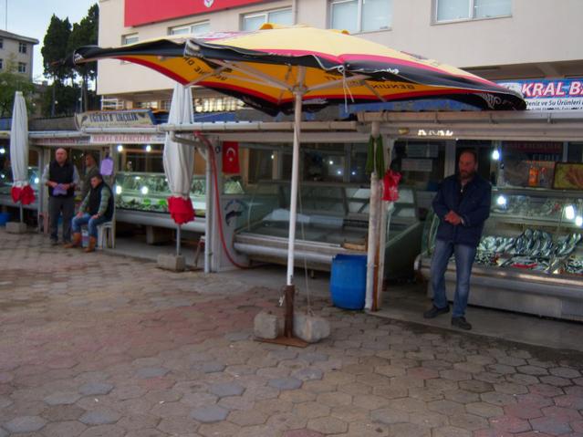 Name:  100_3506.jpg
Views: 362
Size:  48.3 KB