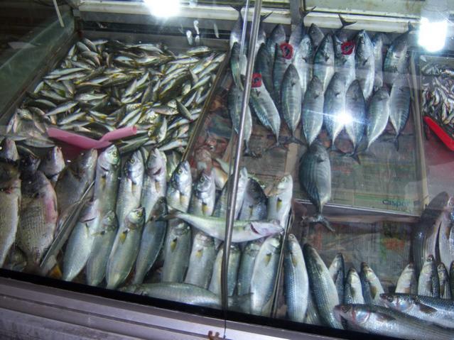 Name:  100_3509.jpg
Views: 362
Size:  60.6 KB