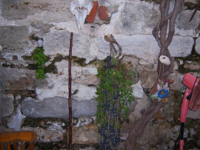 Name:  100_3512.jpg
Views: 341
Size:  56.0 KB