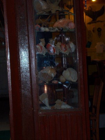 Name:  100_3518.jpg
Views: 343
Size:  69.5 KB