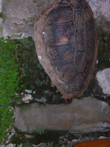 Name:  100_3519.jpg
Views: 362
Size:  28.7 KB
