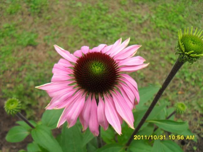 Name:  080.jpg
Views: 537
Size:  44.2 KB