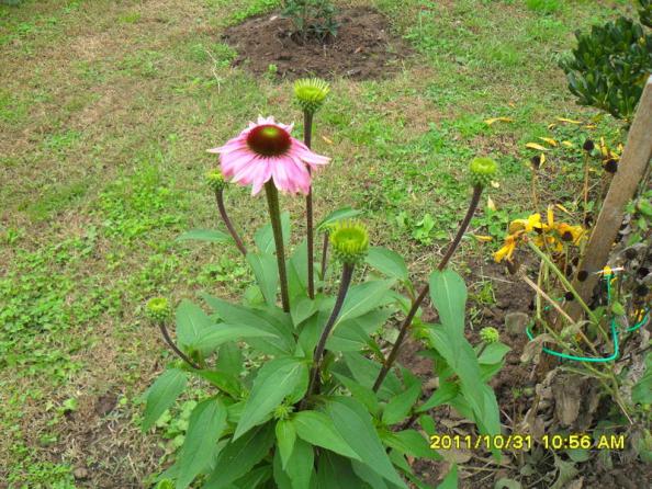Name:  081.jpg
Views: 596
Size:  71.7 KB