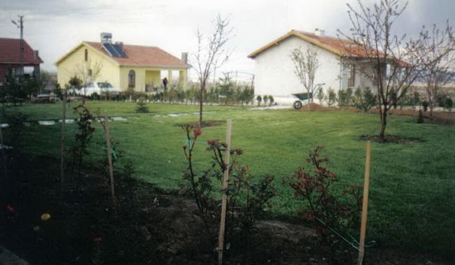Name:  11b.jpg
Views: 2588
Size:  36.6 KB