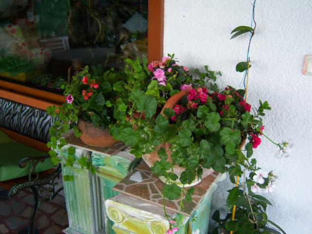 Name:  100_3274.jpg
Views: 573
Size:  51.4 KB