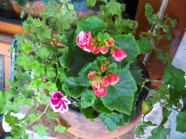 Name:  100_3276.jpg
Views: 516
Size:  58.6 KB