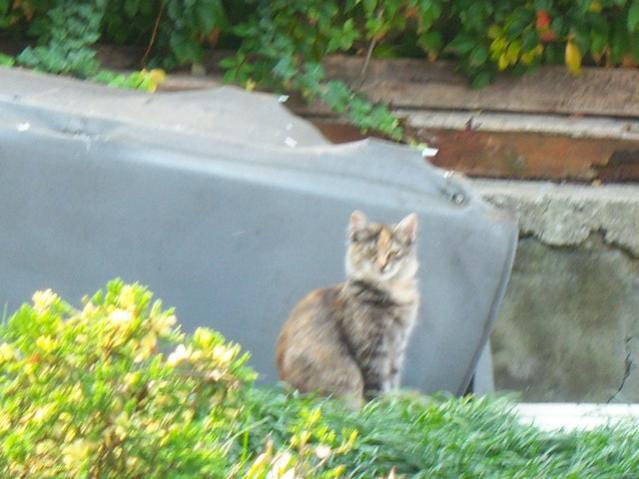 Name:  100_3289.jpg
Views: 285
Size:  43.5 KB