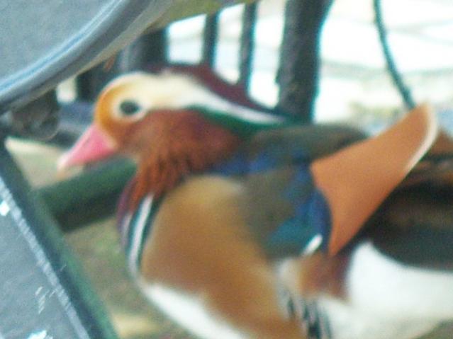 Name:  100_3291.jpg
Views: 264
Size:  31.8 KB