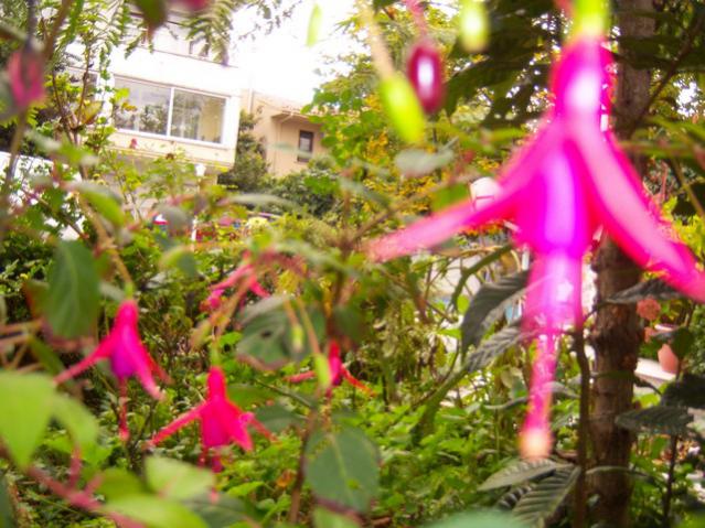 Name:  100_3547.jpg
Views: 486
Size:  62.8 KB
