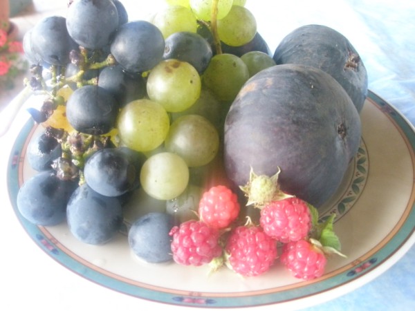 Name:  PB020792 (600 x 450).jpg
Views: 1010
Size:  57.8 KB