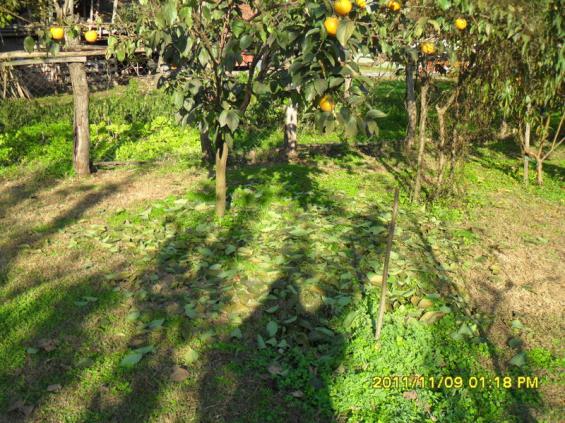 Name:  036.jpg
Views: 898
Size:  72.3 KB