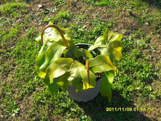 Name:  053.jpg
Views: 866
Size:  74.2 KB