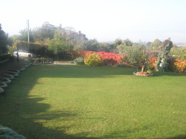 Name:  PB040808 (600 x 450).jpg
Views: 860
Size:  61.1 KB