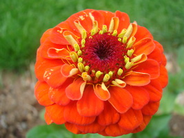 Name:  DSC00004.JPG
Views: 1485
Size:  45.1 KB