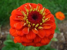 Name:  DSC00005.JPG
Views: 1473
Size:  42.3 KB