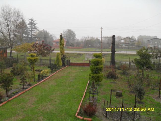 Name:  013.jpg
Views: 830
Size:  46.6 KB
