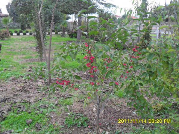 Name:  063.jpg
Views: 917
Size:  72.0 KB