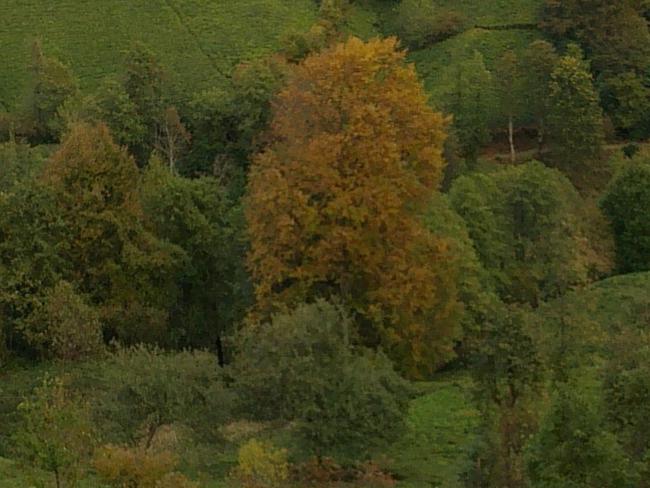 Name:  15 004.jpg
Views: 508
Size:  50.5 KB