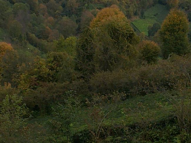 Name:  15 007.jpg
Views: 479
Size:  54.3 KB