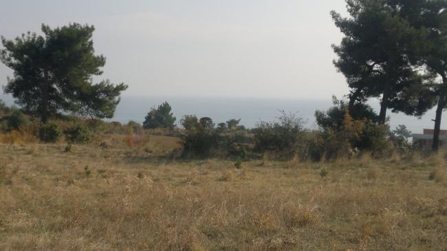 Name:  03112011643.jpg
Views: 842
Size:  33.4 KB