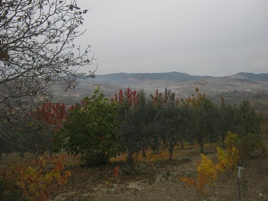 Name:  sonbahar5.JPG
Views: 898
Size:  52.7 KB