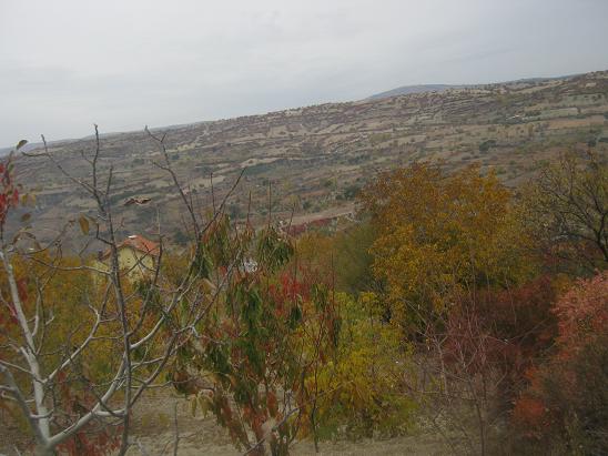 Name:  sonbahar9.JPG
Views: 1068
Size:  53.7 KB